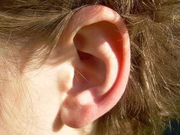 photo of a person's ear